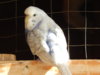 DSCN5081.JPG