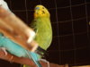DSCN5091.JPG