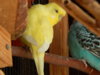 DSCN5099.JPG