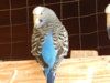 DSCN5118.JPG