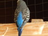 DSCN5121.JPG