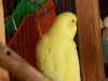 DSCN5130.JPG