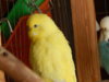 DSCN5131.JPG