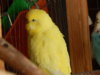 DSCN5132.JPG