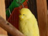 DSCN5134.JPG