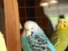 DSCN5137.JPG