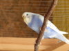 DSCN5140.JPG