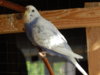 DSCN5145.JPG
