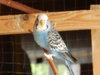 DSCN5162.JPG