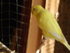 DSCN5171.JPG