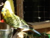 DSCN5176.JPG