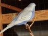 DSCN5183.JPG