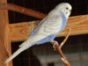 DSCN5184.JPG