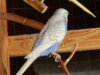 DSCN5188.JPG