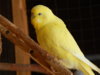 DSCN5191.JPG
