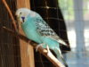DSCN5196.JPG