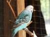 DSCN5199.JPG