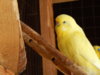 DSCN5207.JPG