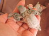 DSCN4911.jpg