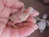 DSCN4913.jpg