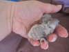 DSCN4915.jpg