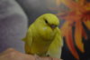 DSC_0642.JPG