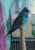 20190618_075624.jpg