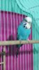20190618_074901.jpg