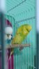 20190618_104251.jpg