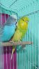20190618_104344.jpg