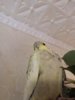 IMG-20190620-WA0005.jpg
