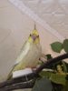 IMG-20190620-WA0008.jpg