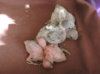 DSCN4921.jpg
