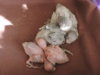 DSCN4920.jpg
