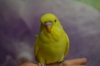DSC_0505.JPG