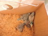 DSCN4965.jpg
