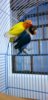 IMG-20190627-WA0013.jpg
