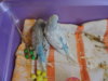 DSCN4969.jpg