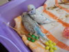 DSCN4970.jpg
