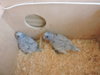 DSCN4967.jpg