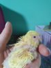 20190708_115224.jpg