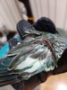 20190726_173445.jpg