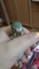 IMG_20190801_130904.jpg