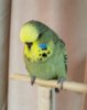 IMG_20190806_173510.jpg