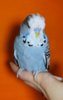 IMG_20190806_183323.jpg