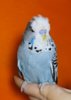 IMG_20190806_183255.jpg