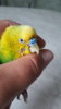 20190807_115851.jpg