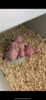23625281-FFE6-47FE-85CF-F170FE80DFC3.png