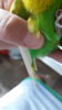 20190808_142129.jpg