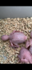118EE6AB-088E-45CE-BFA2-548C5EC37631.png